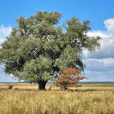 Ostseelodge Zwei Casa de Férias *