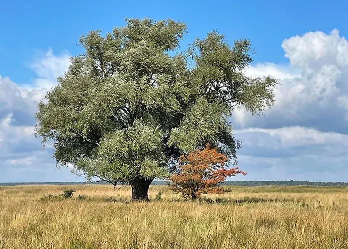Ostseelodge Zwei Prázdninový dům *