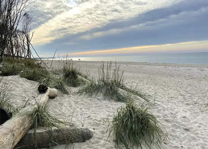 Ostseelodge Zwei Fuhlendorf (Mecklenburg-Vorpommern)